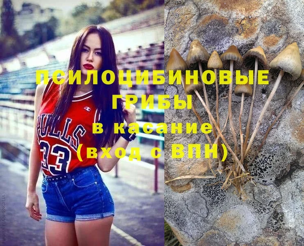 гашик Коряжма