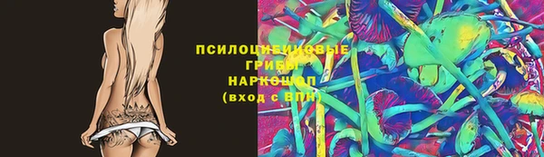 гашик Коряжма