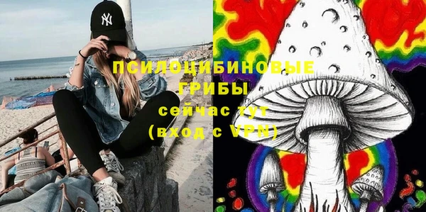 не бодяженный Корсаков
