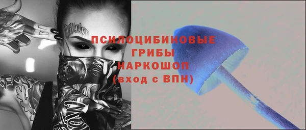 гашик Коряжма