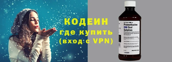 гашик Коряжма