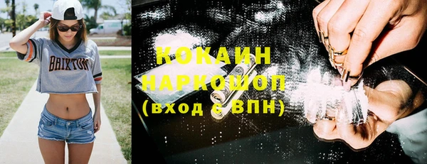 гашик Коряжма