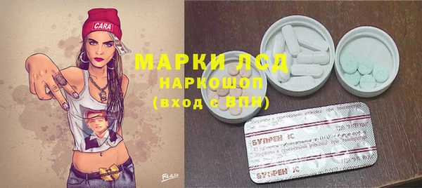 гашик Коряжма