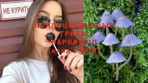 гашик Коряжма