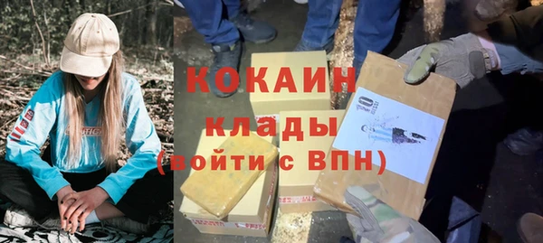 гашик Коряжма