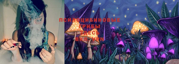 гашик Коряжма