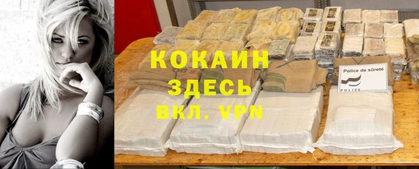 гашик Коряжма