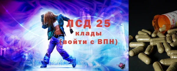 гашик Коряжма