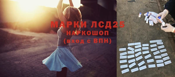 гашик Коряжма