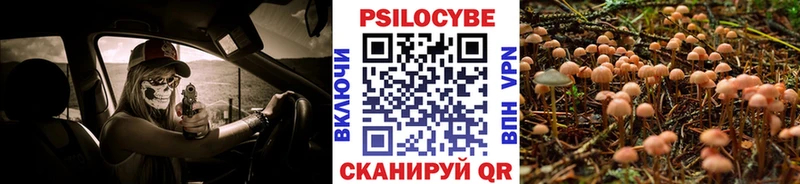 Галлюциногенные грибы Psilocybe  Купить закладки  Поронайск 
